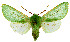 ( - MILA 2280)  @11 [ ] CreativeCommons - Attribution Non-Commercial Share-Alike (2007) M. Laguerre Unspecified