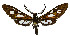  ( - MILA 2324)  @11 [ ] CreativeCommons - Attribution Non-Commercial Share-Alike (2007) M. Laguerre Unspecified