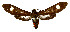  ( - MILA 2331)  @14 [ ] CreativeCommons - Attribution Non-Commercial Share-Alike (2007) M. Laguerre Unspecified