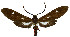  ( - MILA 2339)  @11 [ ] CreativeCommons - Attribution Non-Commercial Share-Alike (2007) M. Laguerre Unspecified