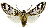  ( - MILA 2346)  @11 [ ] CreativeCommons - Attribution Non-Commercial Share-Alike (2007) M. Laguerre Unspecified