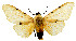  ( - MILA 2352)  @11 [ ] CreativeCommons - Attribution Non-Commercial Share-Alike (2007) M. Laguerre Unspecified