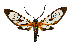  ( - MILA 2381)  @11 [ ] by-nc-sa (2007) M. Laguerre Unspecified