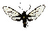  ( - MILA 2390)  @11 [ ] by-nc-sa (2007) M. Laguerre Unspecified