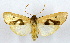  ( - MILA 2396)  @11 [ ] by-nc-sa (2007) M. Laguerre Unspecified