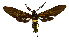  ( - MILA 2426)  @11 [ ] by-nc-sa (2007) M. Laguerre Unspecified