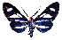  ( - MILA2582)  @11 [ ] by-nc-sa (2007) M. Laguerre Unspecified