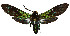  ( - MILA2585)  @11 [ ] by-nc-sa (2007) M. Laguerre Unspecified