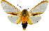  ( - MILA2622)  @11 [ ] by-nc-sa (2007) M. Laguerre Unspecified