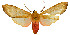 ( - MILA2646)  @11 [ ] by-nc-sa (2007) M. Laguerre Unspecified