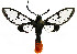  ( - MILA2462)  @11 [ ] by-nc-sa (2007) M. Laguerre Unspecified