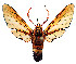  ( - MILA2489)  @11 [ ] by-nc-sa (2007) M. Laguerre Unspecified