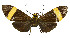  ( - MILA2532)  @11 [ ] by-nc-sa (2007) M. Laguerre Unspecified