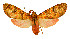  ( - MILA2533)  @11 [ ] by-nc-sa (2007) M. Laguerre Unspecified