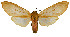  ( - MILA2544)  @11 [ ] by-nc-sa (2007) M. Laguerre Unspecified