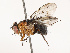  ( - CBG-B21615-G11)  @11 [ ] CreativeCommons - Attribution Share - Alike (2025) CBG Photography Group Centre for Biodiversity Genomics