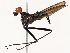  ( - CBG-B21620-H06)  @11 [ ] CreativeCommons - Attribution Share - Alike (2025) CBG Photography Group Centre for Biodiversity Genomics