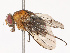  ( - CBG-B21623-G01)  @11 [ ] CreativeCommons - Attribution Share - Alike (2025) CBG Photography Group Centre for Biodiversity Genomics