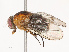  ( - CBG-B21623-G03)  @11 [ ] CreativeCommons - Attribution Share - Alike (2025) CBG Photography Group Centre for Biodiversity Genomics
