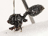 ( - CBG-B21624-D12)  @11 [ ] CreativeCommons - Attribution Share - Alike (2025) CBG Photography Group Centre for Biodiversity Genomics