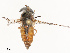  ( - CBG-B21625-B11)  @11 [ ] CreativeCommons - Attribution Share - Alike (2025) CBG Photography Group Centre for Biodiversity Genomics