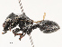  ( - CBG-B21625-G11)  @11 [ ] CreativeCommons - Attribution Share - Alike (2025) CBG Photography Group Centre for Biodiversity Genomics