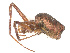  ( - CBG-B21625-H07)  @11 [ ] CreativeCommons - Attribution Share - Alike (2025) CBG Photography Group Centre for Biodiversity Genomics
