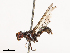  ( - CBG-B21790-D01)  @11 [ ] CreativeCommons - Attribution Share - Alike (2025) CBG Photography Group Centre for Biodiversity Genomics