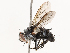  ( - CBG-B00465-F12)  @11 [ ] CreativeCommons - Attribution Share - Alike (2025) CBG Photography Group Centre for Biodiversity Genomics