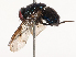  ( - CBG-B00466-D05)  @11 [ ] CreativeCommons - Attribution Share - Alike (2025) CBG Photography Group Centre for Biodiversity Genomics