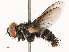  ( - CBG-B21797-G11)  @11 [ ] CreativeCommons - Attribution Share - Alike (2025) CBG Photography Group Centre for Biodiversity Genomics