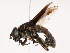  ( - CBG-B21797-H01)  @11 [ ] CreativeCommons - Attribution Share - Alike (2025) CBG Photography Group Centre for Biodiversity Genomics