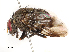  ( - CBG-B22926-F07)  @11 [ ] CreativeCommons - Attribution Share - Alike (2025) CBG Photography Group Centre for Biodiversity Genomics