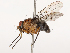  ( - CBG-B22930-A10)  @11 [ ] CreativeCommons - Attribution Share - Alike (2025) CBG Photography Group Centre for Biodiversity Genomics