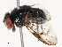  ( - CBG-B22937-D12)  @11 [ ] CreativeCommons - Attribution Share - Alike (2025) CBG Photography Group Centre for Biodiversity Genomics