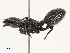  ( - CBG-B22939-C12)  @11 [ ] CreativeCommons - Attribution Share - Alike (2025) CBG Photography Group Centre for Biodiversity Genomics