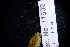  ( - LACM:DISCO:11502)  @11 [ ] CreativeCommons - Attribution (2018) Natural History Museum of Los Angeles County Natural History Museum of Los Angeles County