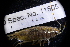  ( - LACM:DISCO:11505)  @11 [ ] CreativeCommons - Attribution (2018) Natural History Museum of Los Angeles County Natural History Museum of Los Angeles County