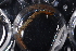  ( - LACM:DISCO:12984)  @11 [ ] CreativeCommons - Attribution (2019) Natural History Museum of Los Angeles County Natural History Museum of Los Angeles County