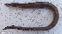  ( - 1247_005)  @11 [ ] CreativeCommons Attribution ShareAlike (2022) Institut Halieutique et des Sciences Marines Institut Halieutique et des Sciences Marines