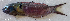  ( - 1288_003)  @11 [ ] CreativeCommons Attribution ShareAlike (2022) Institut Halieutique et des Sciences Marines Institut Halieutique et des Sciences Marines