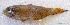  ( - 1297_014)  @11 [ ] CreativeCommons Attribution ShareAlike (2021) Institut Halieutique et des Sciences Marines Institut Halieutique et des Sciences Marines