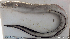  ( - 1316_003)  @11 [ ] CreativeCommons Attribution ShareAlike (2021) Institut Halieutique et des Sciences Marines Institut Halieutique et des Sciences Marines