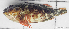  ( - 1410_007)  @11 [ ] CreativeCommons Attribution ShareAlike (2022) Institut Halieutique et des Sciences Marines Institut Halieutique et des Sciences Marines