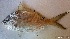  ( - 1447_001)  @11 [ ] CreativeCommons Attribution ShareAlike (2022) Institut Halieutique et des Sciences Marines Institut Halieutique et des Sciences Marines