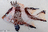  ( - 1561_002)  @11 [ ] CreativeCommons Attribution ShareAlike (2022) Institut Halieutique et des Sciences Marines Institut Halieutique et des Sciences Marines
