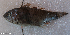 ( - 1574_009)  @11 [ ] CreativeCommons Attribution ShareAlike (2022) Institut Halieutique et des Sciences Marines Institut Halieutique et des Sciences Marines