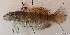  ( - 1600_014)  @11 [ ] CreativeCommons Attribution ShareAlike (2022) Institut Halieutique et des Sciences Marines Institut Halieutique et des Sciences Marines