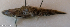  ( - 1600_027)  @11 [ ] CreativeCommons Attribution ShareAlike (2022) Institut Halieutique et des Sciences Marines Institut Halieutique et des Sciences Marines