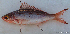  ( - 1729_001)  @11 [ ] CreativeCommons Attribution ShareAlike (2022) Institut Halieutique et des Sciences Marines Institut Halieutique et des Sciences Marines
